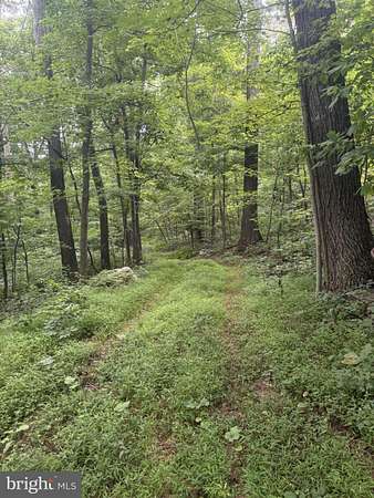 11.6 Acres of Land for Sale in Gore, Virginia