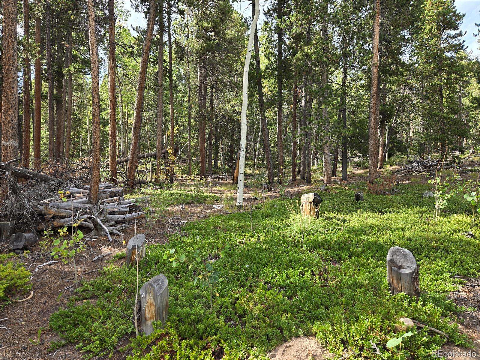 0.77 Acres of Residential Land for Sale in Black Hawk, Colorado