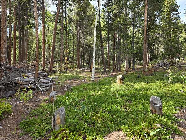 0.77 Acres of Residential Land for Sale in Black Hawk, Colorado