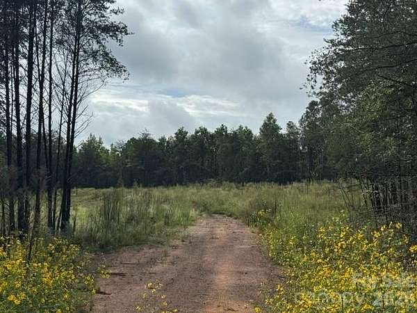 5.76 Acres of Residential Land for Sale in Lawndale, North Carolina