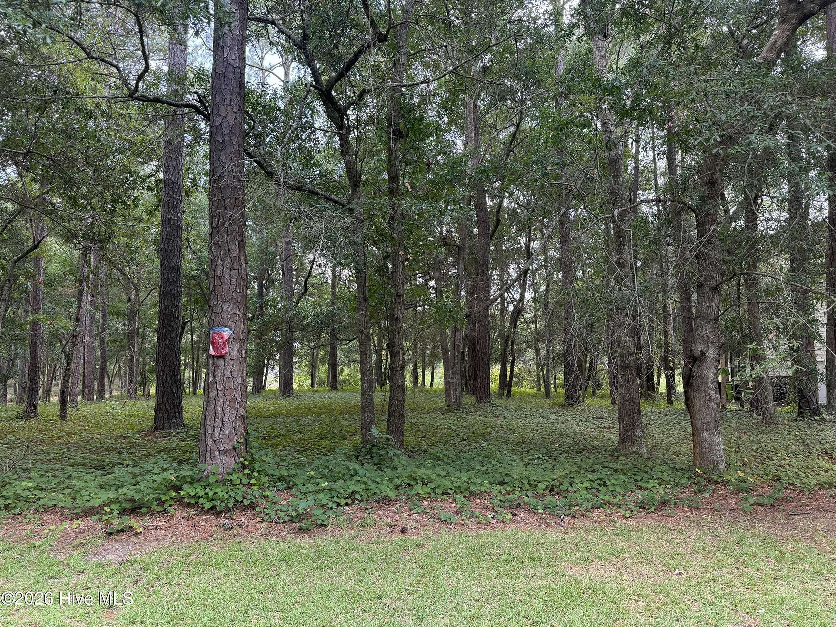 0.23 Acres of Residential Land for Sale in Bolivia, North Carolina