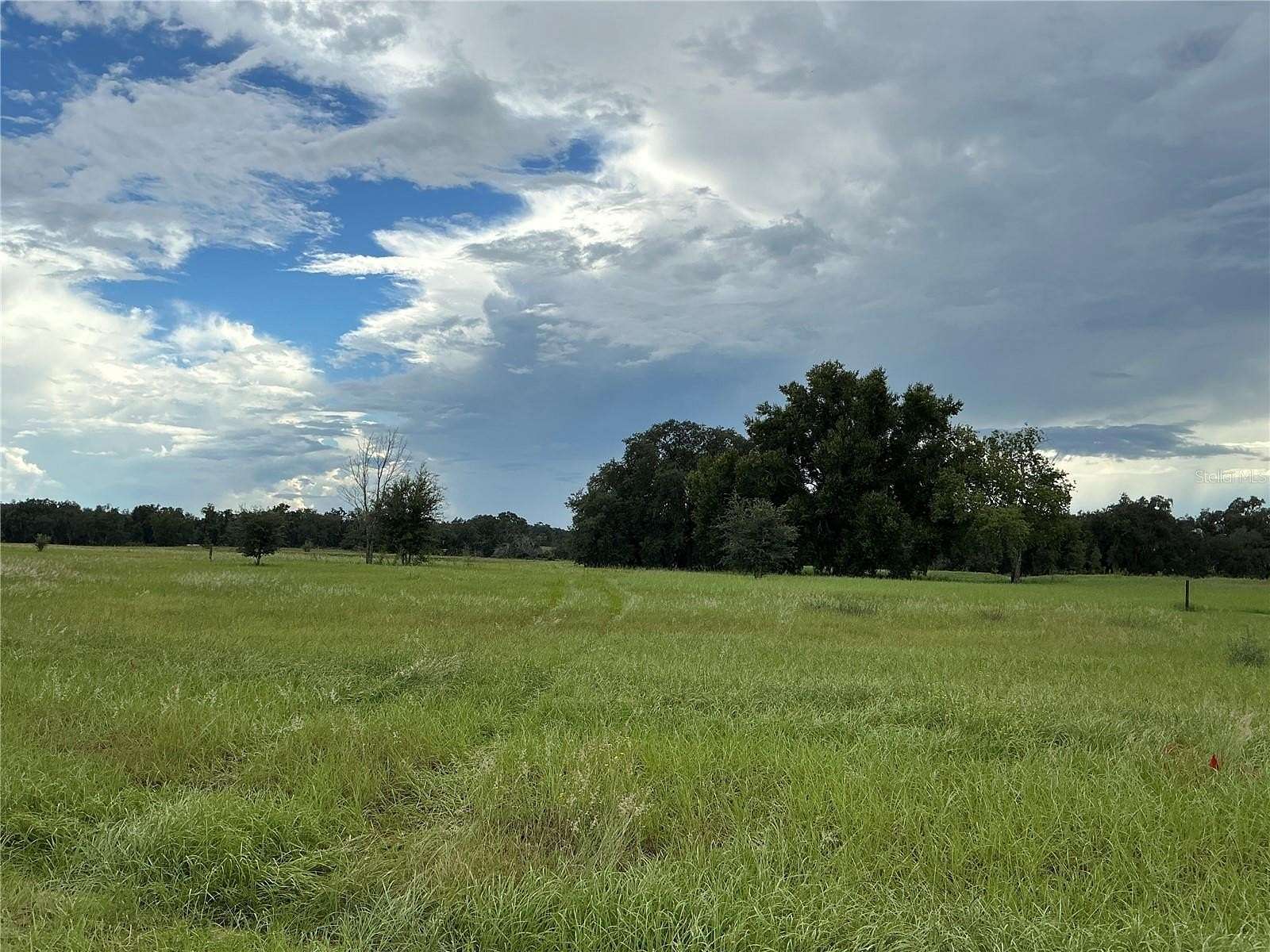 5.19 Acres of Residential Land for Sale in Groveland, Florida