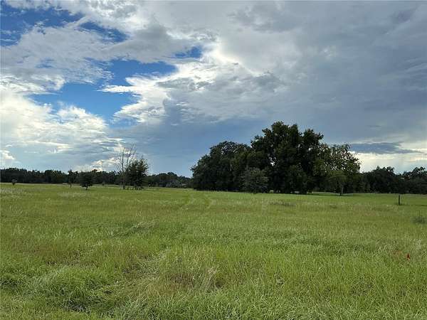 5.19 Acres of Residential Land for Sale in Groveland, Florida