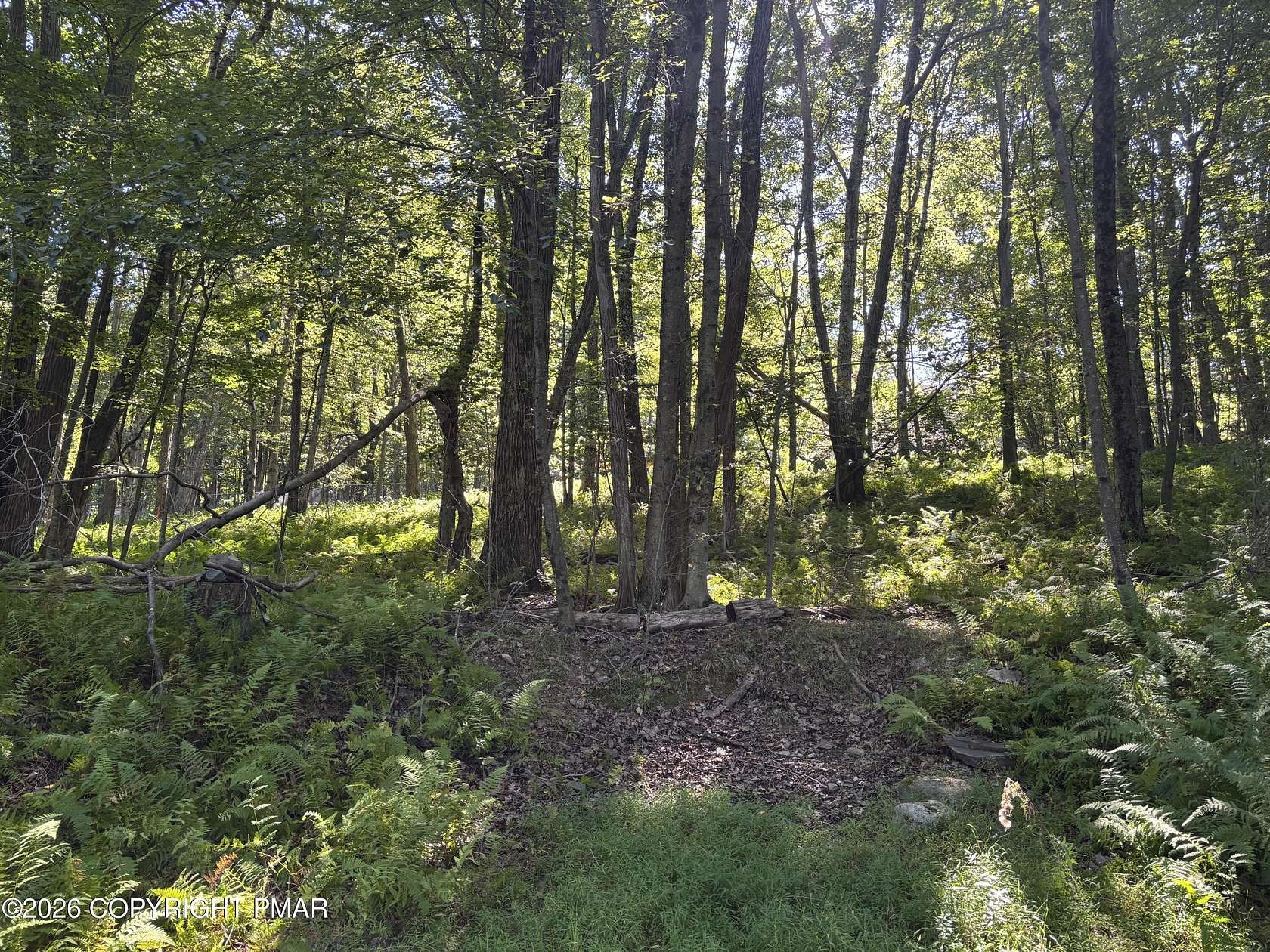 0.33 Acres of Residential Land for Sale in Pocono Lake, Pennsylvania