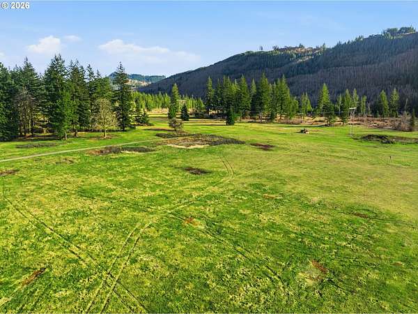 5 Acres of Residential Land for Sale in Ariel, Washington