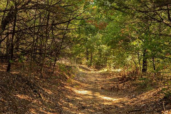 4 Acres of Residential Land for Sale in Whitesboro, Texas