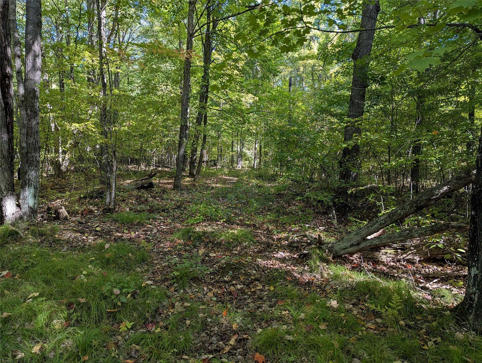 4.75 Acres of Land for Sale in Ojibwa, Wisconsin