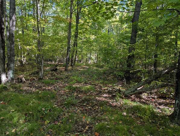 4.75 Acres of Land for Sale in Ojibwa, Wisconsin