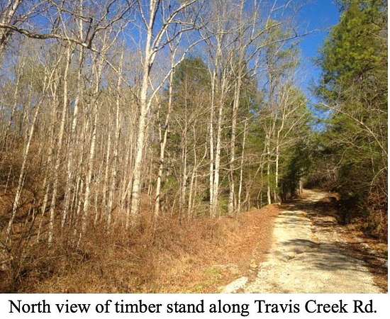 757 Acres of Recreational & Residential Land for Sale in McKee, Kentucky