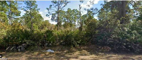 0.5 Acres of Residential Land for Sale in Lehigh Acres, Florida