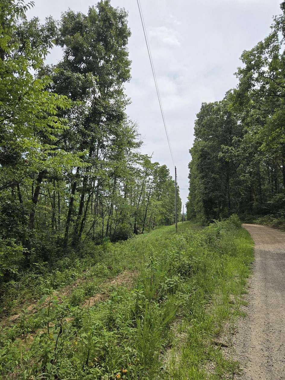 7.5 Acres of Residential Land for Sale in Norwood, Missouri