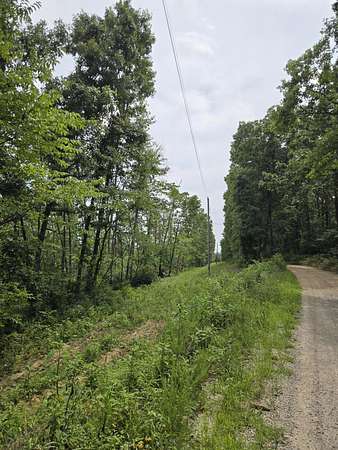 7.5 Acres of Residential Land for Sale in Norwood, Missouri