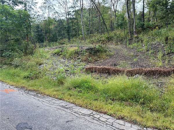 42.1 Acres of Recreational & Residential Land for Sale in Big Beaver, Pennsylvania