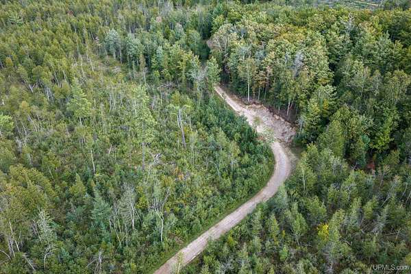 40 Acres of Recreational & Residential Land for Sale in Powers, Michigan