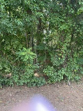 0.58 Acres of Residential Land for Sale in Eatonton, Georgia