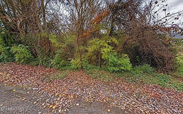 0.18 Acres of Residential Land for Sale in Knoxville, Tennessee
