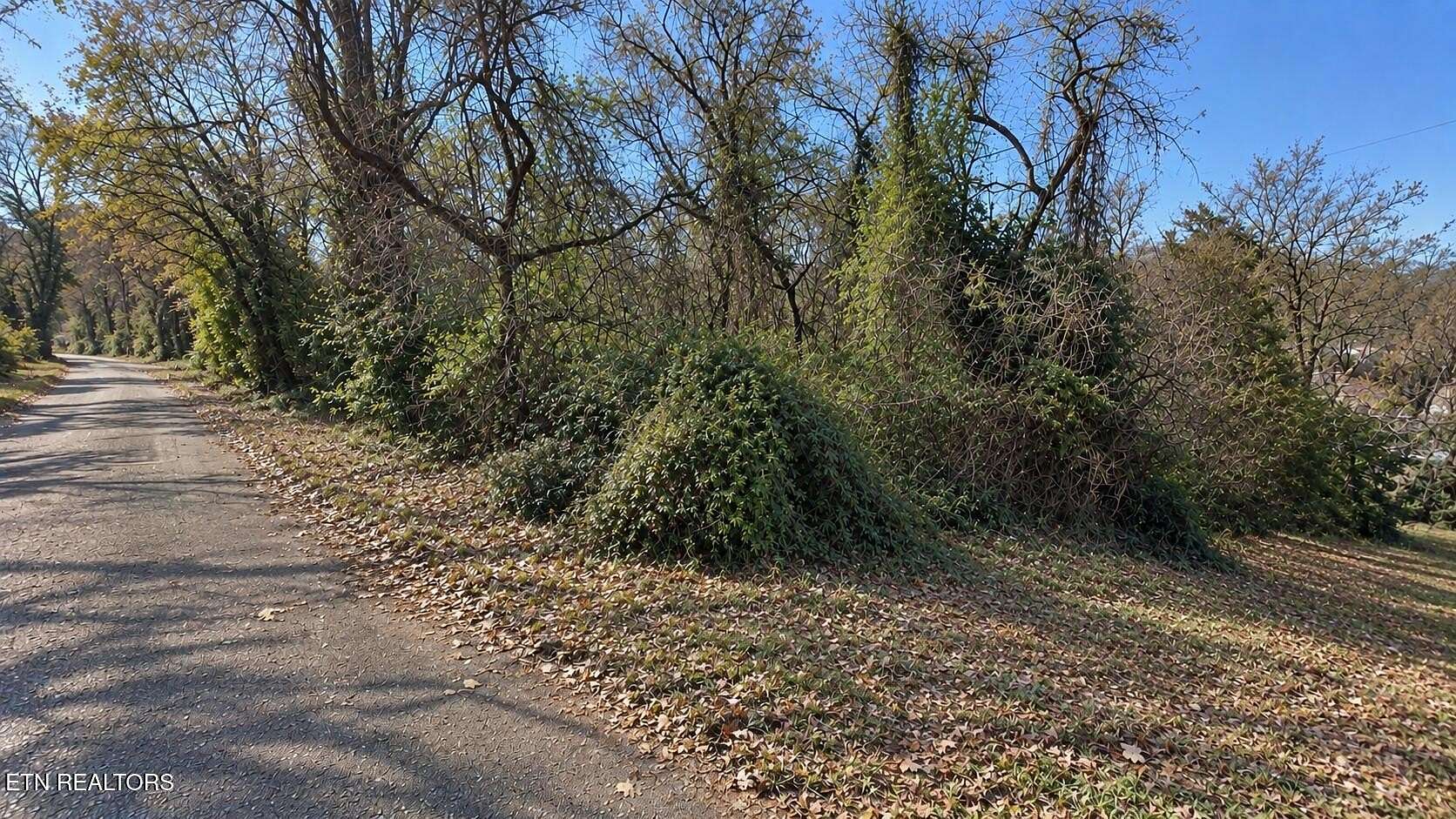 0.08 Acres of Residential Land for Sale in Knoxville, Tennessee