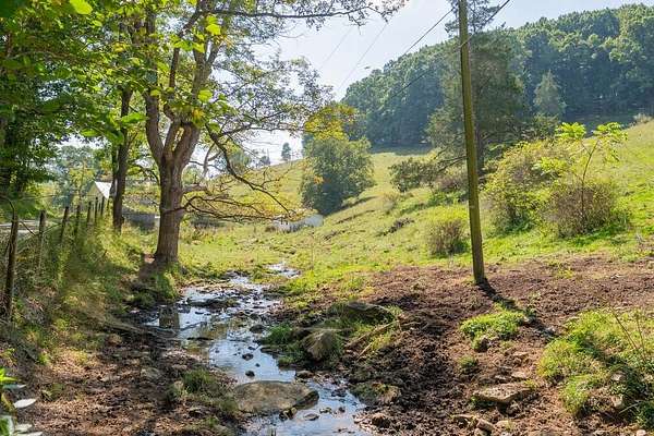 46.6 Acres of Land for Sale in Wytheville, Virginia