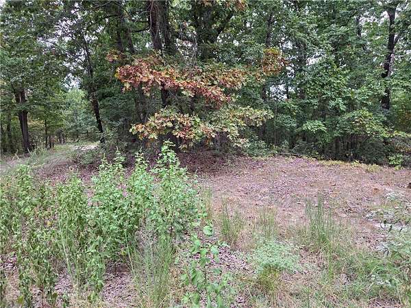 3 Acres of Land for Sale in Flippin, Arkansas