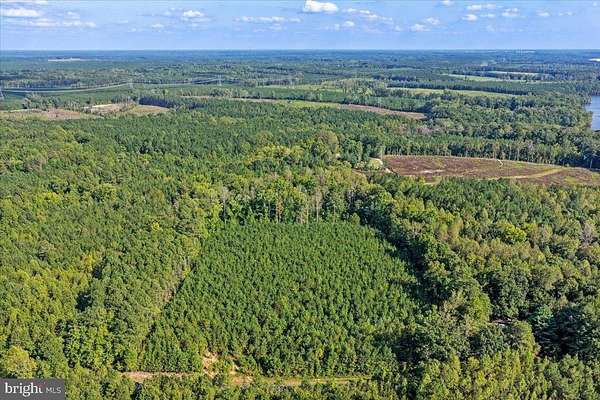 9.67 Acres of Residential Land for Sale in Freeman, Virginia