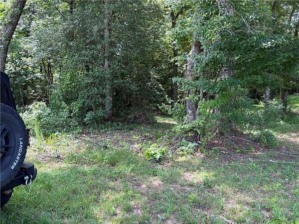 9.75 Acres of Residential Land for Sale in Easley, South Carolina