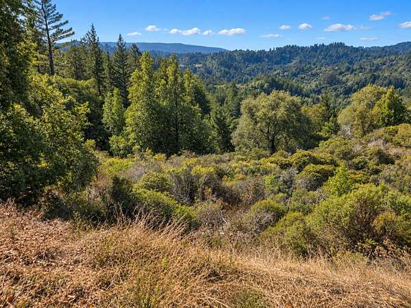 41.2 Acres of Recreational & Residential Land for Sale in Soquel, California