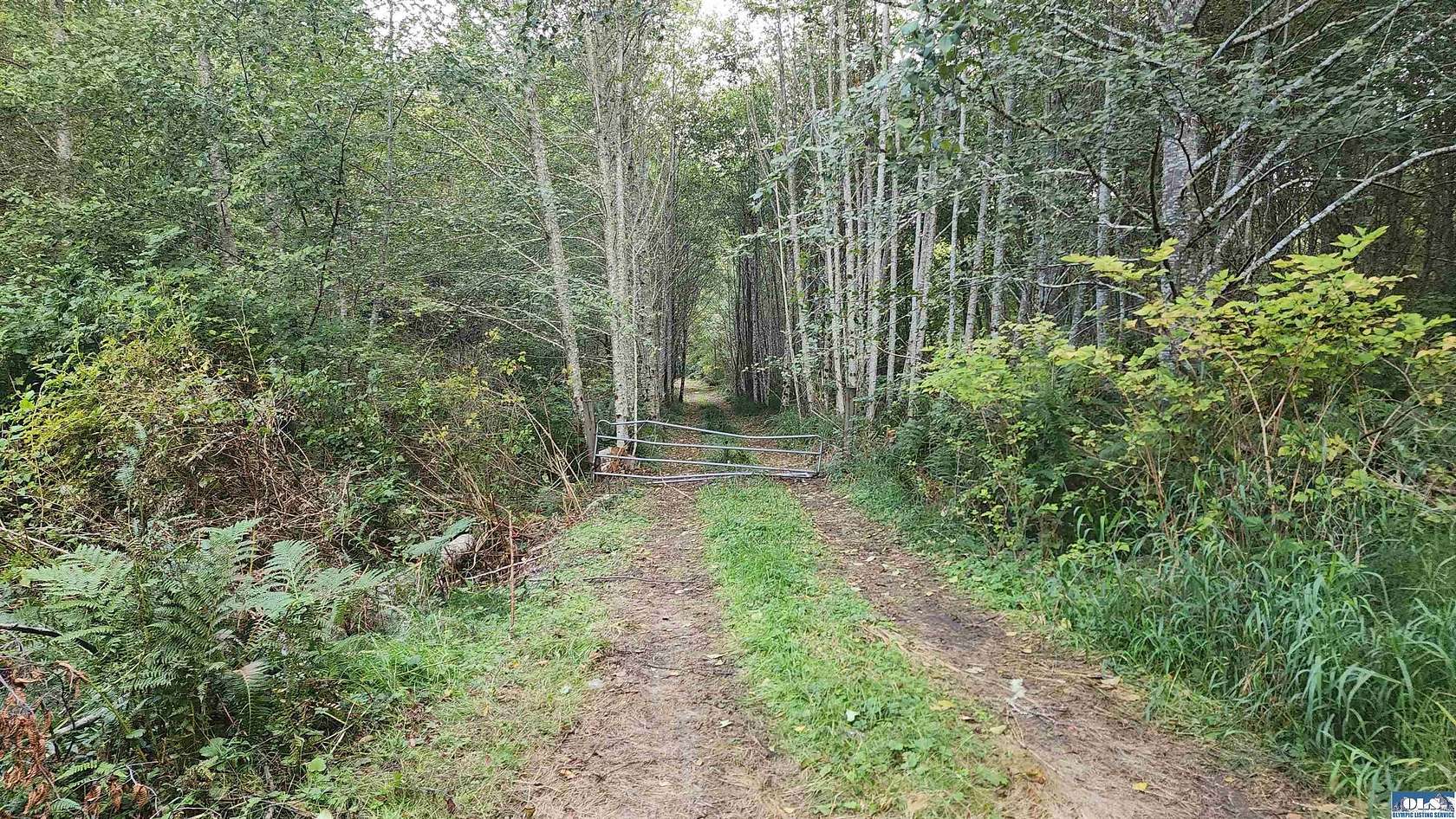 10 Acres of Land for Sale in Port Angeles, Washington