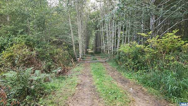 10 Acres of Land for Sale in Port Angeles, Washington