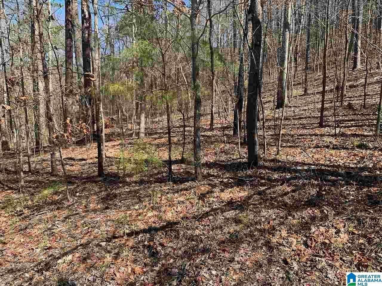 3 Acres of Residential Land for Sale in Pinson, Alabama