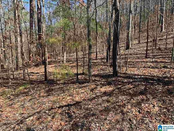 3 Acres of Residential Land for Sale in Pinson, Alabama