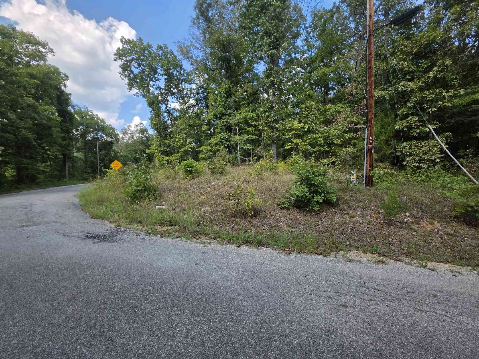 0.31 Acres of Residential Land for Sale in Hardy, Arkansas