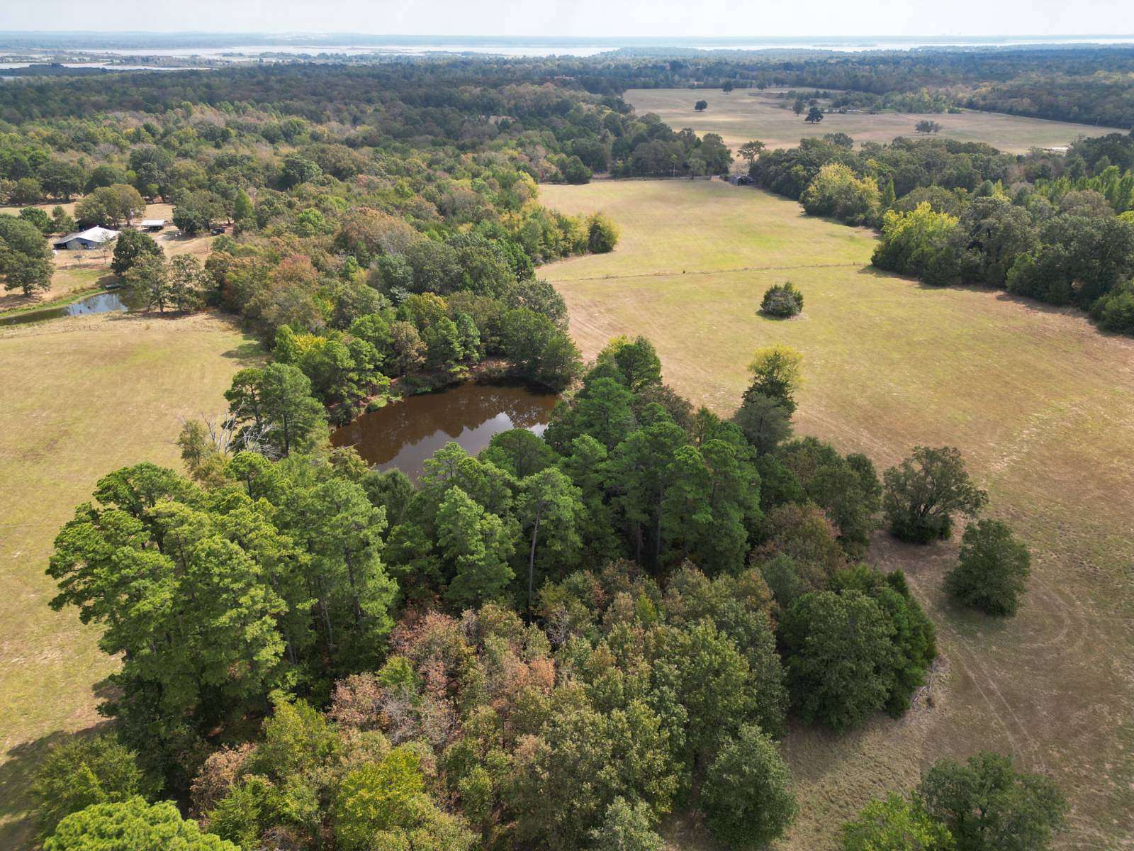 20 Acres of Land for Sale in Hugo, Oklahoma