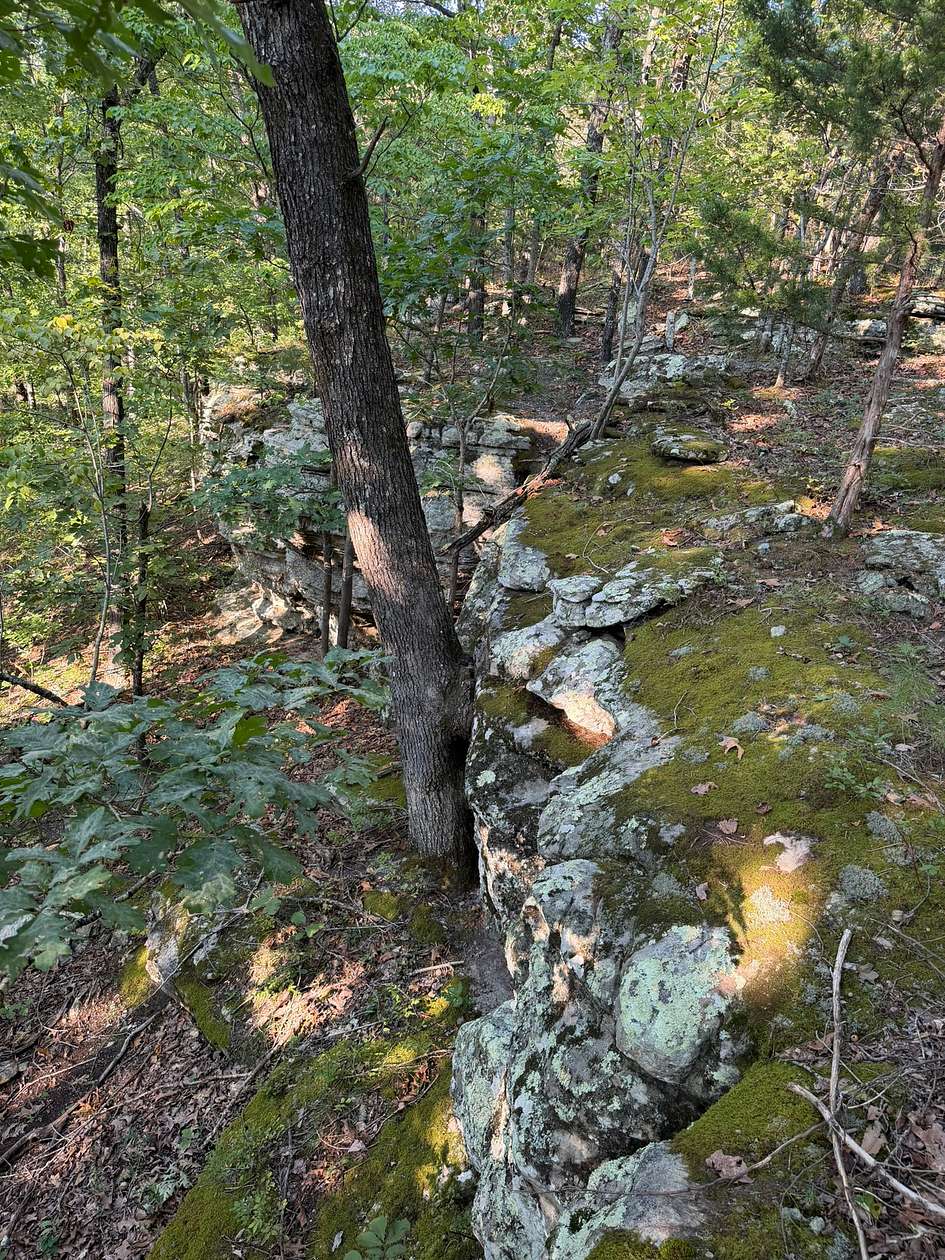 143 Acres of Land for Sale in Melbourne, Arkansas