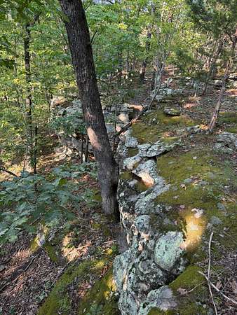 143 Acres of Land for Sale in Melbourne, Arkansas