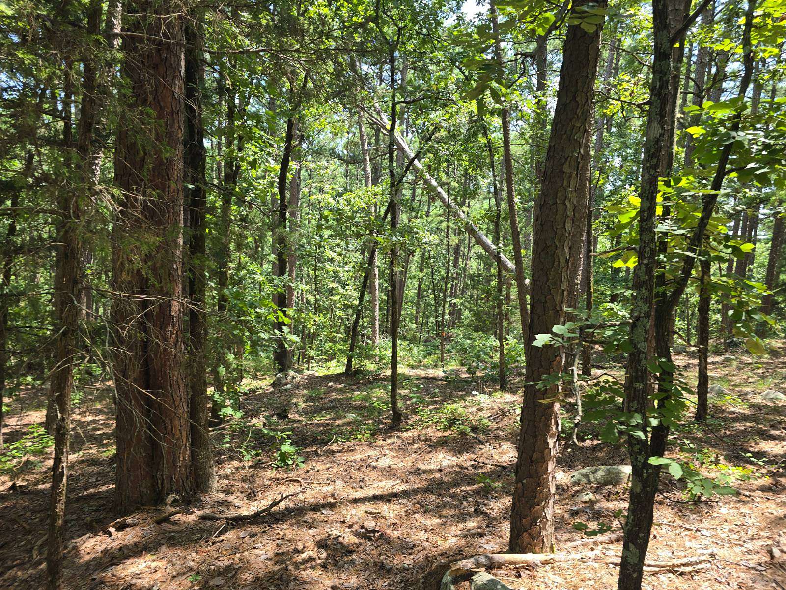 5 Acres of Agricultural Land for Sale in Moyers, Oklahoma