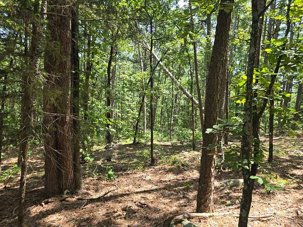 5 Acres of Agricultural Land for Sale in Moyers, Oklahoma