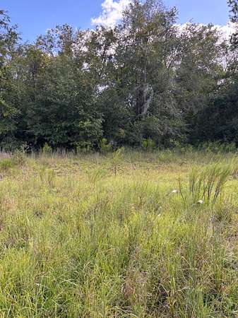 4.7 Acres of Land for Sale in Wellborn, Florida