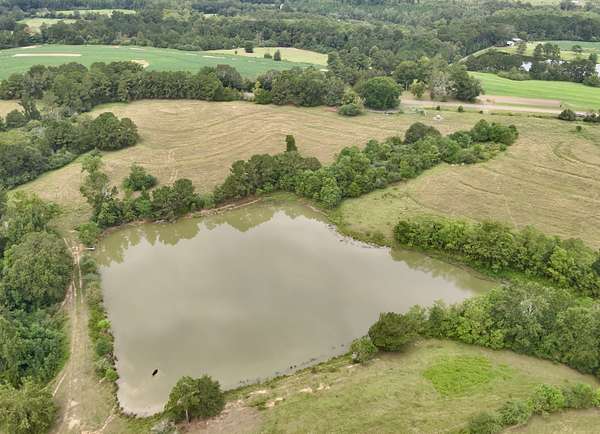22 Acres of Agricultural & Residential Land for Sale in Samson, Alabama