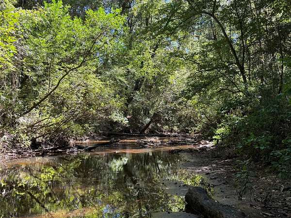 15 Acres of Land for Sale in Evergreen, Alabama