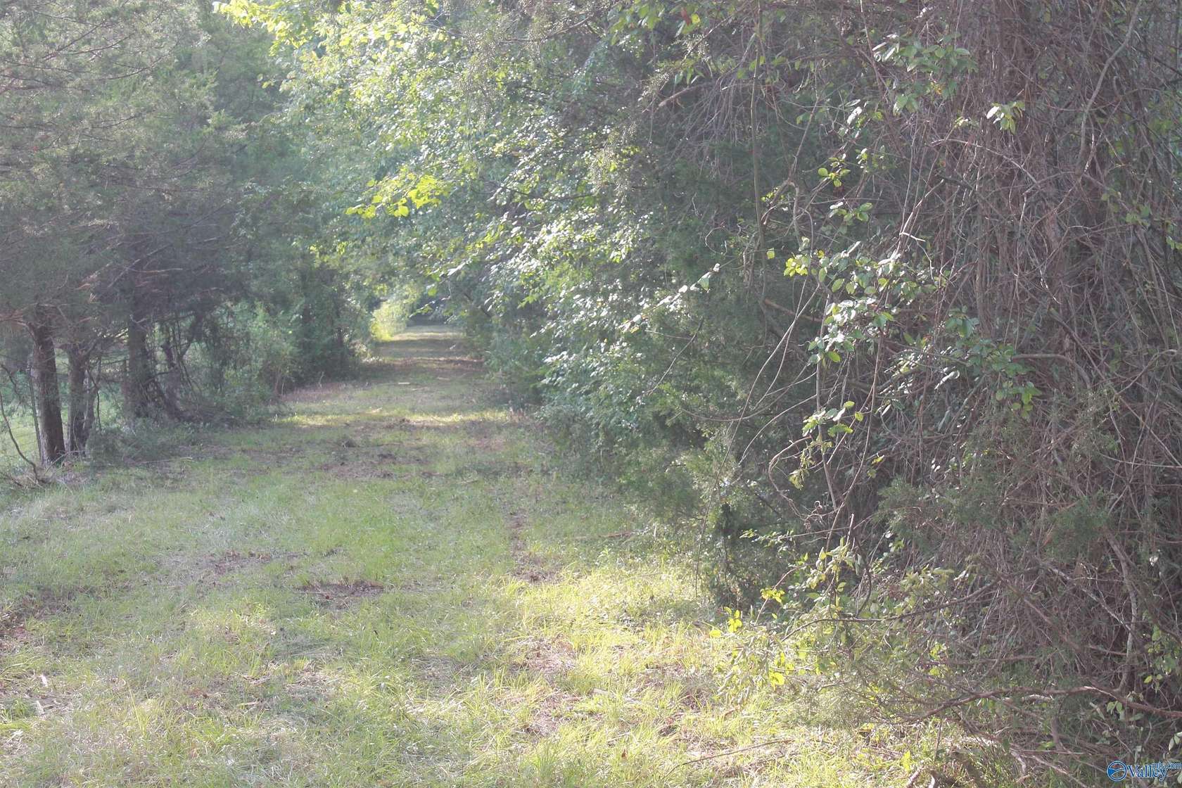 39 Acres of Recreational & Residential Land for Sale in Falkville, Alabama