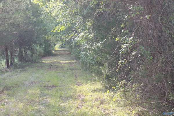 39 Acres of Recreational & Residential Land for Sale in Falkville, Alabama