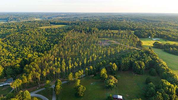 38 Acres of Land for Sale in Cypress Inn, Tennessee