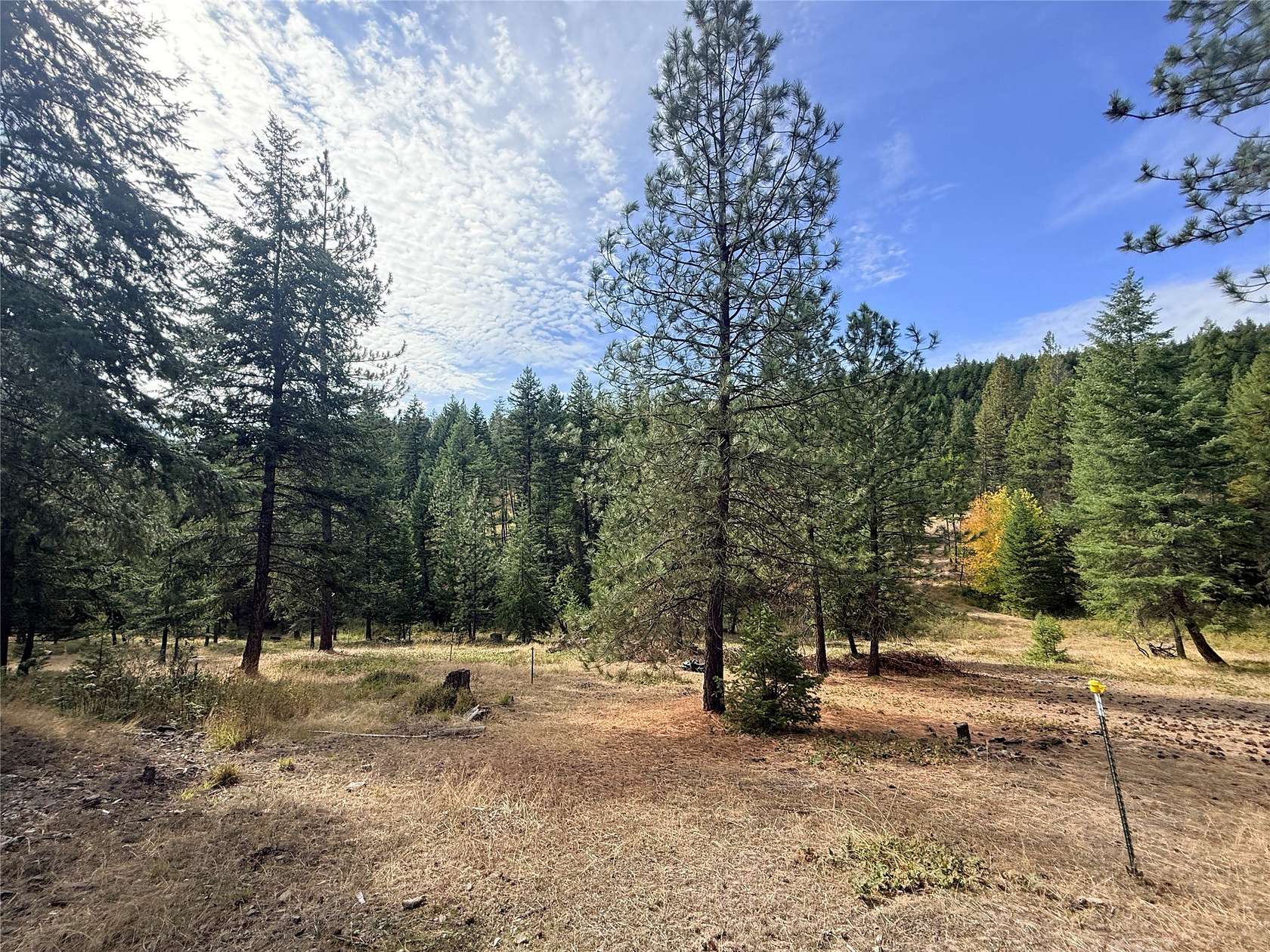 20 Acres of Recreational Land with Home for Sale in Plains, Montana