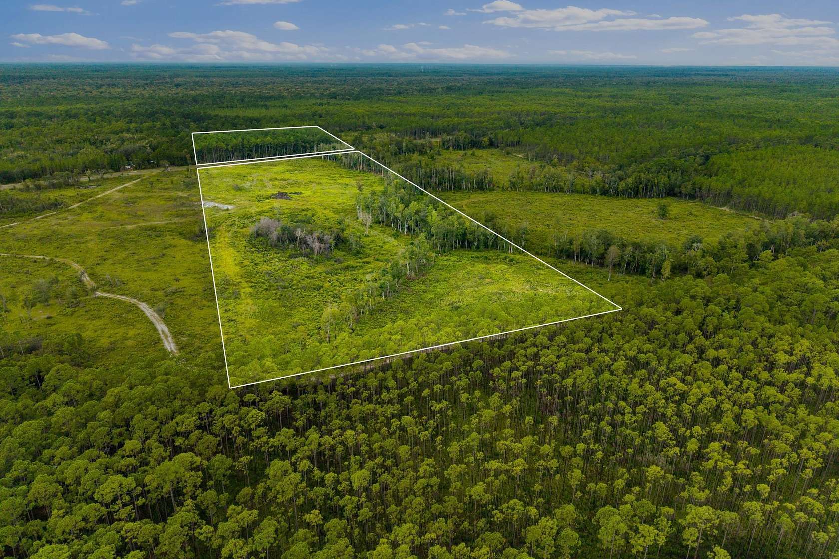 39.2 Acres of Land for Sale in Sopchoppy, Florida