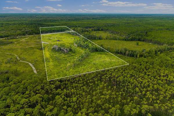 39.2 Acres of Land for Sale in Sopchoppy, Florida