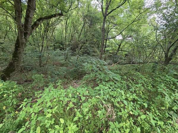 0.31 Acres of Residential Land for Sale in Pikeville, Kentucky