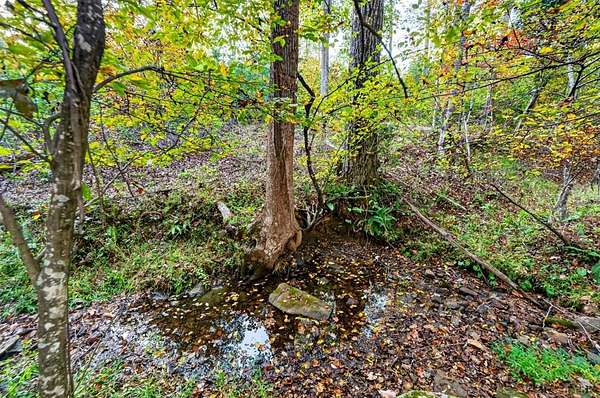 5 Acres of Land for Sale in Amherst, Virginia