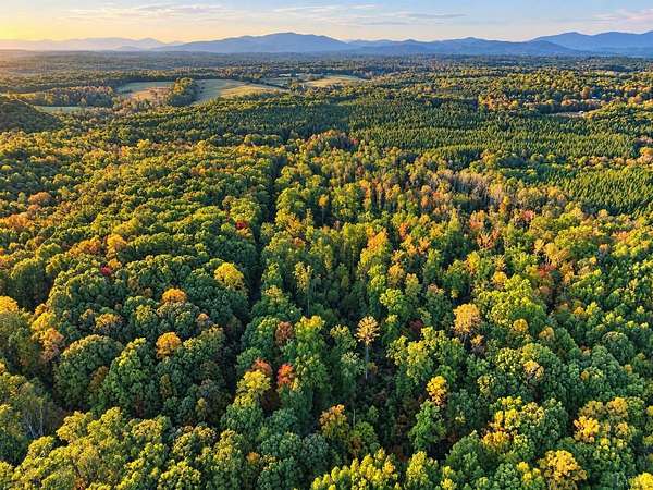5 Acres of Land for Sale in Amherst, Virginia
