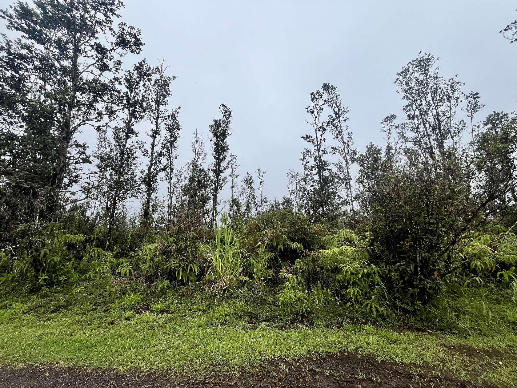 3 Acres of Residential Land for Sale in Mountain View, Hawaii