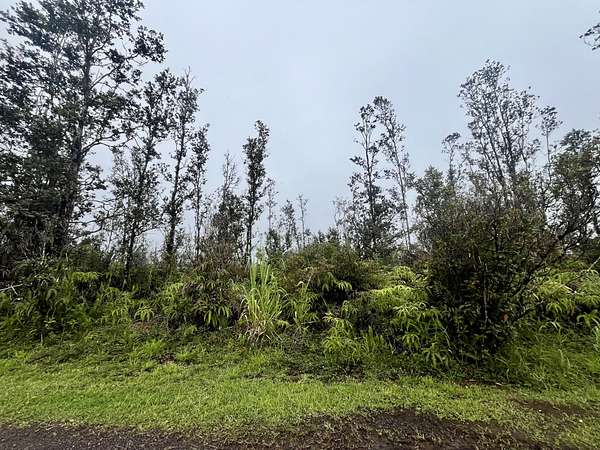 3 Acres of Residential Land for Sale in Mountain View, Hawaii